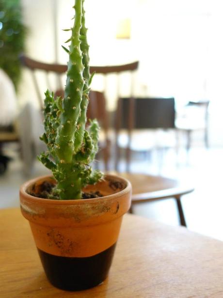 Urban Jungle Bloggers: Greens in Cafe´s, Shops & Restaurants