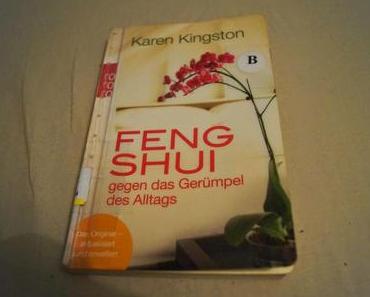 Schlacht gegen das Gerümpel (Mary testet Feng-Shui)