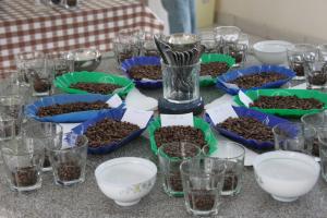 Cupping-Labor von Coopac 17 verschiedene Spezialitätenkaffees sollten verkostet werden