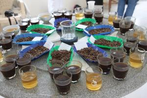 Cupping-Labor von Coopac: 17 verschiedene Spezialitätenkaffees wurden verkostet