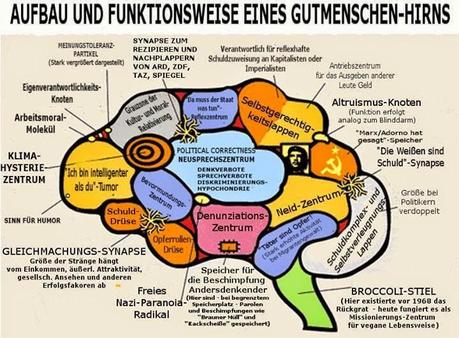 Funktionsweise eines Gutmenschenhirns einfach erklärt