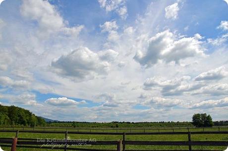 Hunderunde (18) Erdbeerfeld 16052014