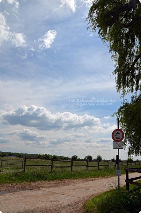 Hunderunde (39) Erdbeerfeld 16052014