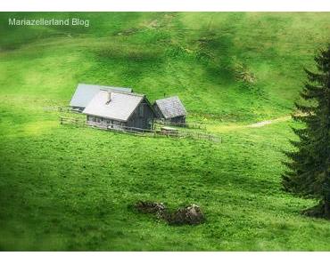 wallpaper-1689754