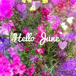 Hallo Juni