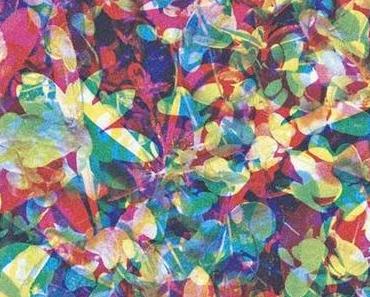 Caribou: Verschwende deine Jugend