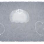 Google Doodle Ohrenqualle