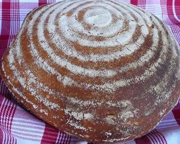 Pane Plötziade