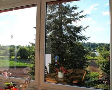 Fenster putzen, ja oder nein?