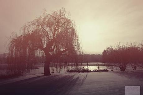 Winterwonderland... #3