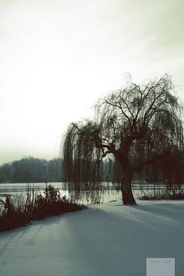 Winterwonderland... #3