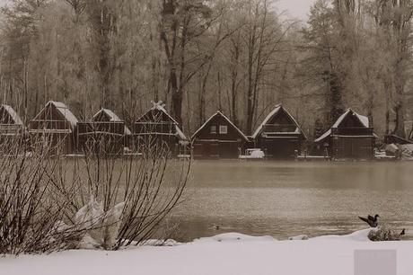 Winterwonderland... #2