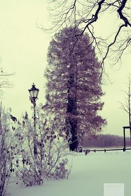 Winterwonderland... #1