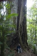 Selva Negra und Ometepe