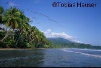 Yachthafen in Moin (Costa Rica) geplant