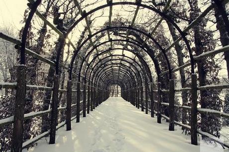 Winterwonderland... #4