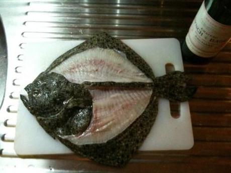 plattfische filetieren, das wollte ich schon immer lernen…