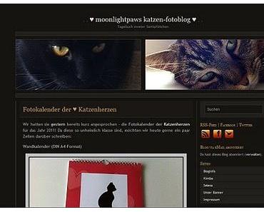[Blognews] Mein Katzen-Fotoblog