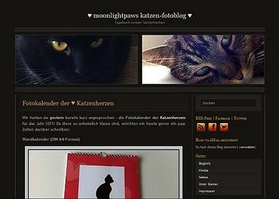 [Blognews] Mein Katzen-Fotoblog