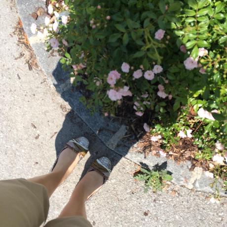 12 von 12 ... {juni}