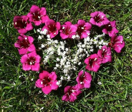 Freutag mit Sonne und Blumen