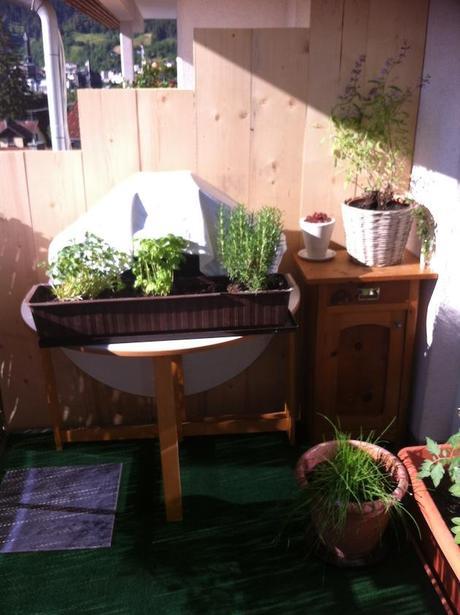 Freutag mit Sonne und Blumen Freutag mit Sonne und Blumen