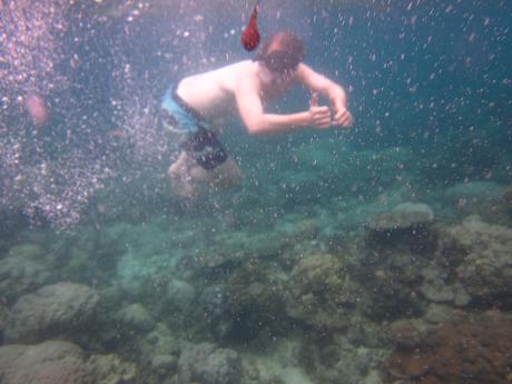 Diving El Nido Palawan Reef 4