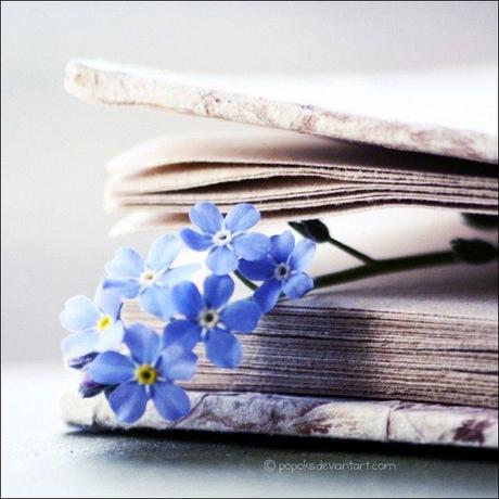 uralte Geschichten: Dualseelen.