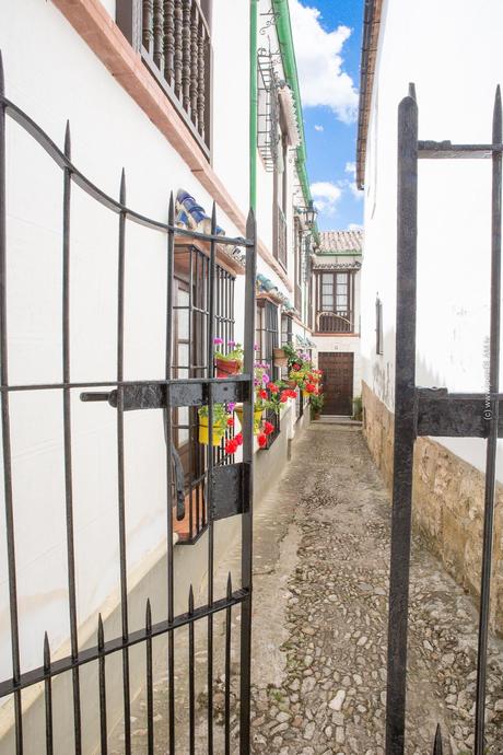 Andalusien erleben - Malaga und Ronda - historische Straßen, Al