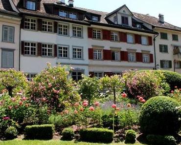 Ein Besuch an der Bischofszeller Rosenwoche