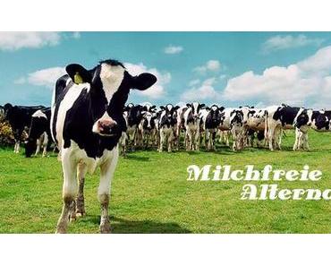 Laktoseintoleranz & Milchallergie – Milchfreie Alternativen