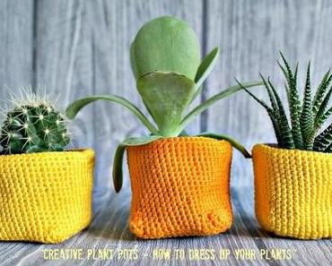 Eingehäkelt -  "Creative plant pots - how to dress up your plants"