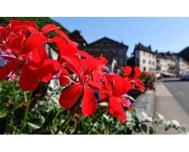 Jura: Frau G. führt mit 3:1