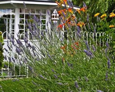 Gartenimpressionen und Lieblingsplätzchen