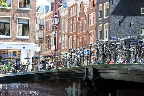 Back in Amsterdam - ein Wochenende voller Ereignisse