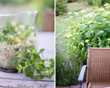 Blütensaft & Sommerlaune