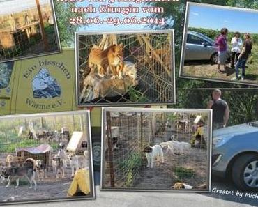 Reise von 3 Mitgliedern nach Giurgiu vom 28.06.-29.06.2014