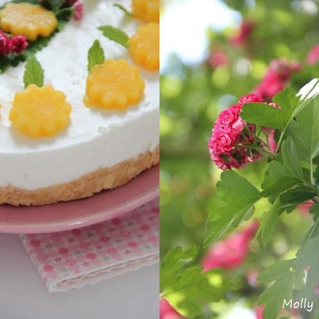 Joghurt-Mango-Torte und Gewinner des give-away