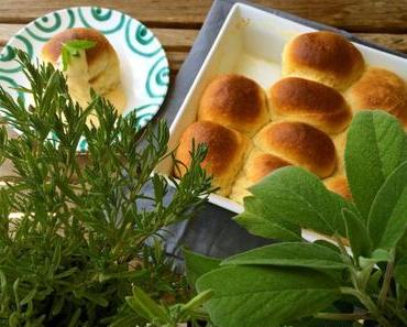 Rohrnudeln mit Zwetschgen – Herzlich Willkommen in Österreich