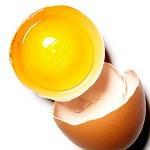 Was mit Egg Protein alles möglich ist