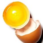 egg protein Was mit dem Wettkampf Egg Protein alles möglich ist