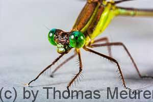 Teil 2: So findest Du den richtigen Träger – Part 1