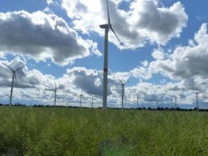 Windenergieanlagen in einem Rapsfeld in der Uckermark, Foto: Andreas Kühl
