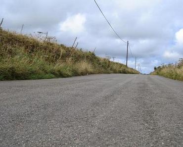 Roadtrip-Vorwarnung #bauchtrip