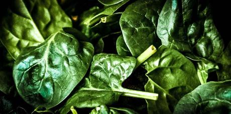 Kuriose Feiertage - 16. Juli  - Tag des frischen Spinat - der amerikanische Fresh Spinach Day  - (c) 2014 Sven Giese für www.kuriose-feiertage.de