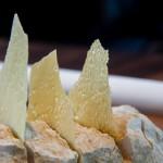 Foie Gras Chips mit Rhabarber