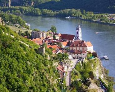 Marillenschaumtörtchen