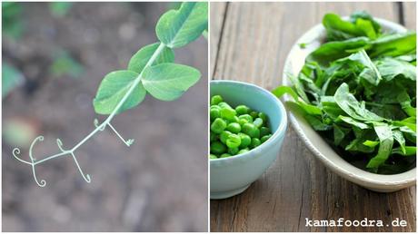More peas please – grünes Risotto mit Erbsen, Spinat, Frühlingszwiebeln und Limette