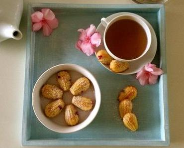 Johannisbeer-Madeleines – Fruchtig, lockerer Mini-Sandkuchen