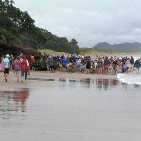 Sprudelnd heißes Wasser am Hot Water Beach in Neuseeland
